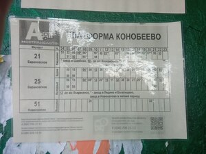 Автобус 21 от Конобеева на Барановское на 26.08.24 (фото 1)